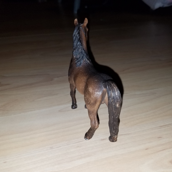 Choco - Picture 3 of 4